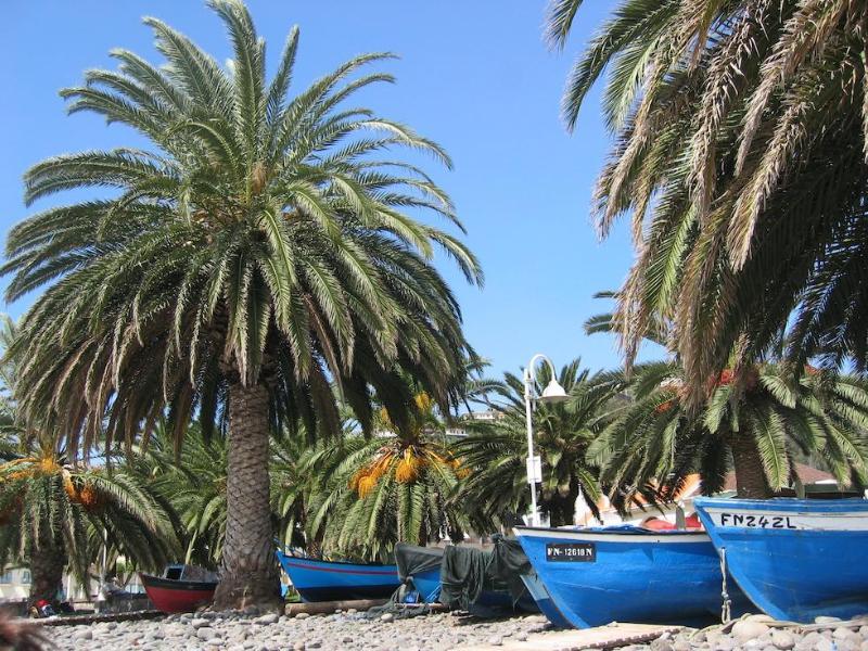 Boutique Hotel Santa Cruz Santa Cruz  Dış mekan fotoğraf